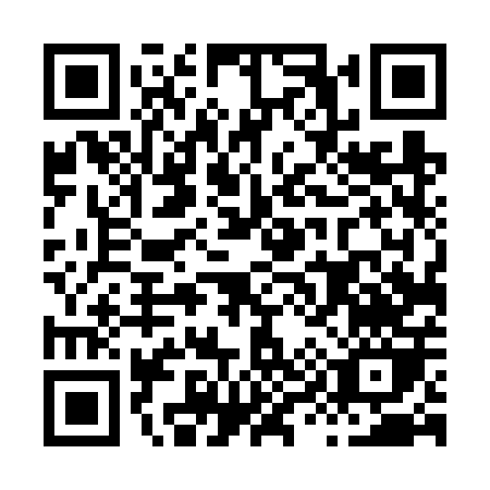 QR code for H946P