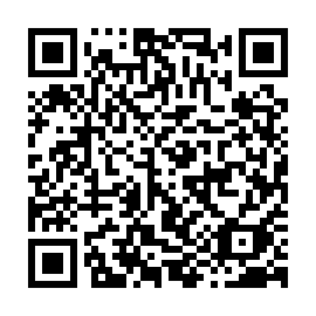 QR code for H95 1QI