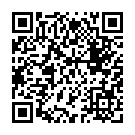 QR code for H953P