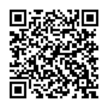 QR code for H958AO