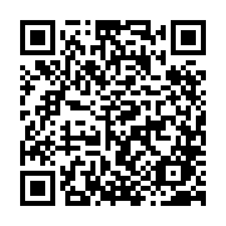 QR code for plate H95 8LO
