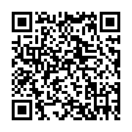 QR code for H958X