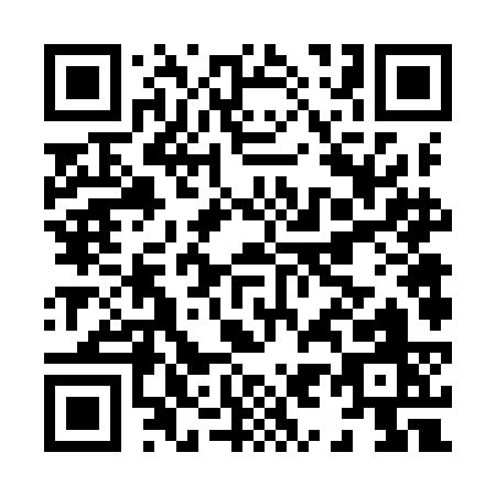 QR code for H969C