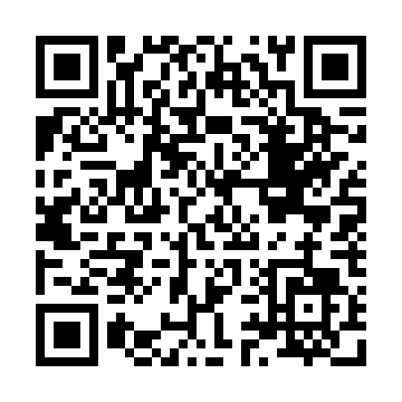 QR code for H976T