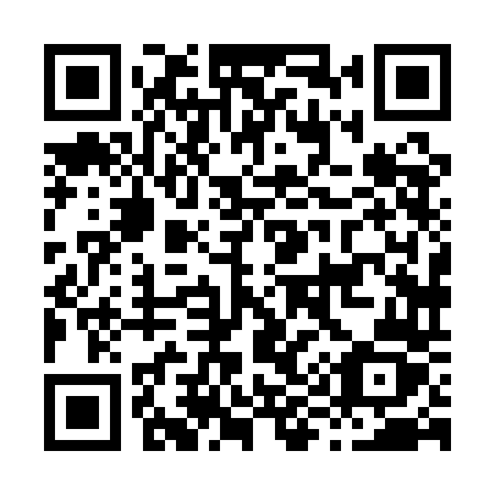 QR code for H981DZ