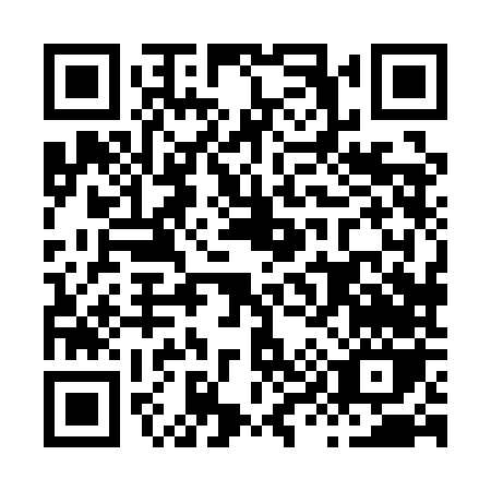 QR code for H981N