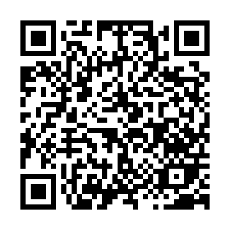 QR code for H991P