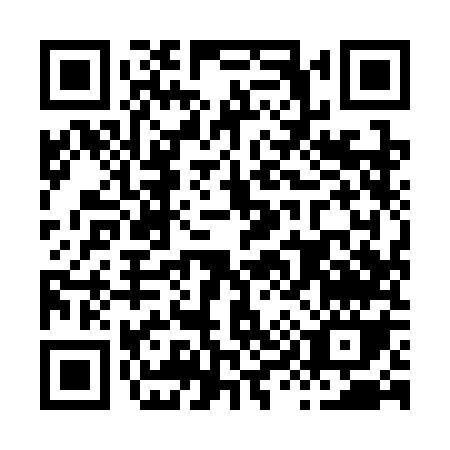 QR code for H993O