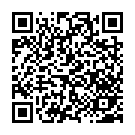 QR code for H993Z