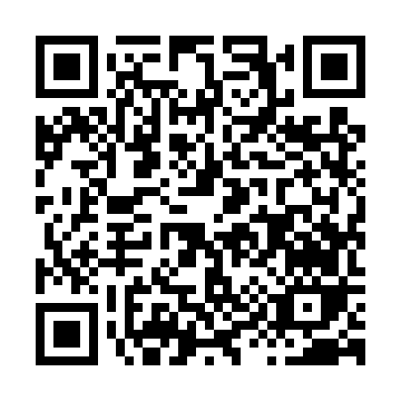 QR code for H994V
