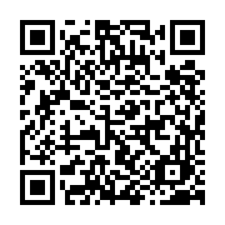QR code for H995FL