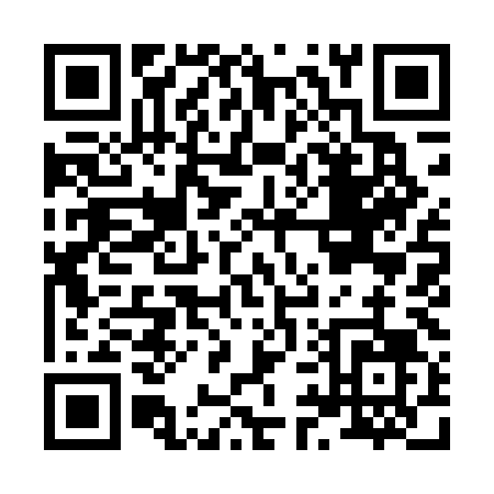 QR code for H995L