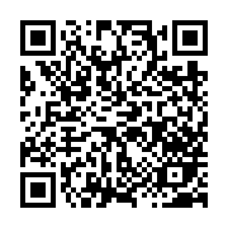 QR code for H996X