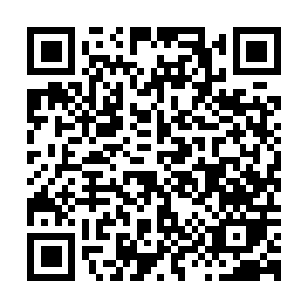 QR code for H998P