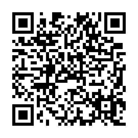 QR code for I217P