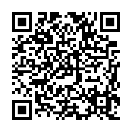 QR code for I217X