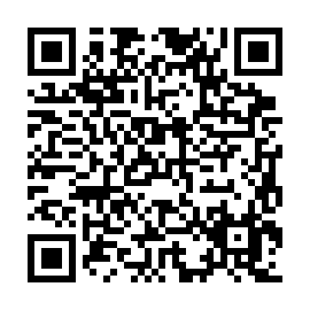 QR code for I233H