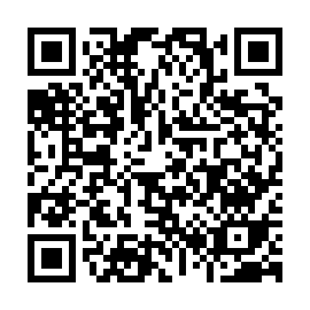 QR code for I271S