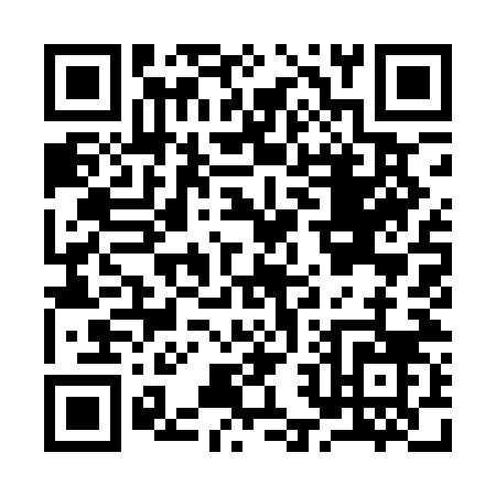 QR code for I291N