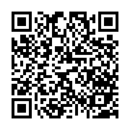 QR code for I295M