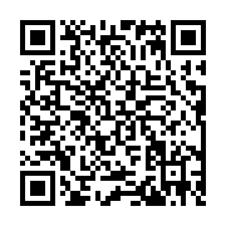 QR code for I333X