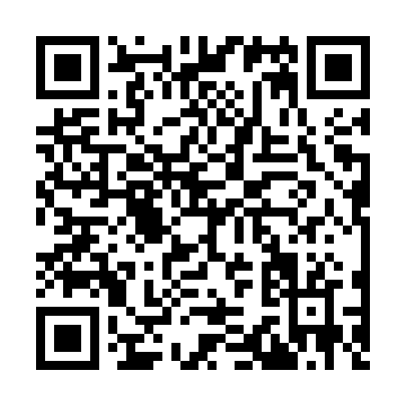 QR code for I335R