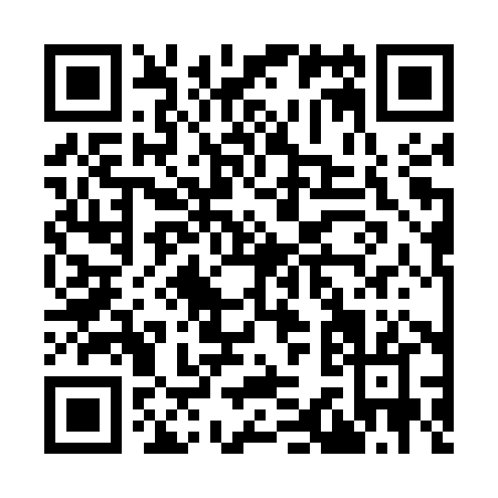QR code for I335X