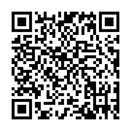 QR code for I355S