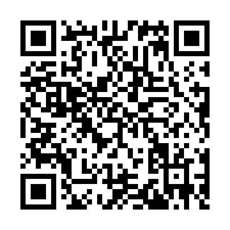 QR code for I387N