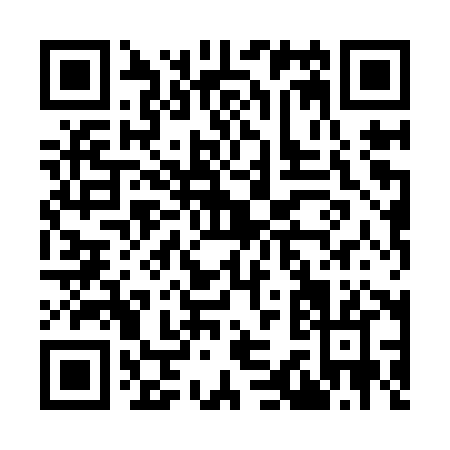 QR code for I389X