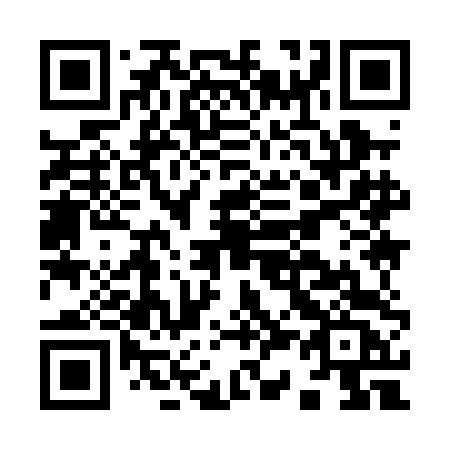 QR code for I390DC