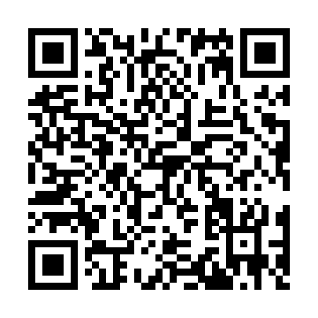 QR code for I390S