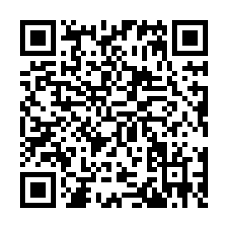 QR code for I398N