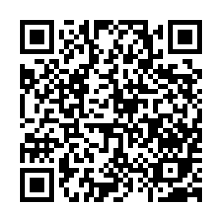 QR code for I411I