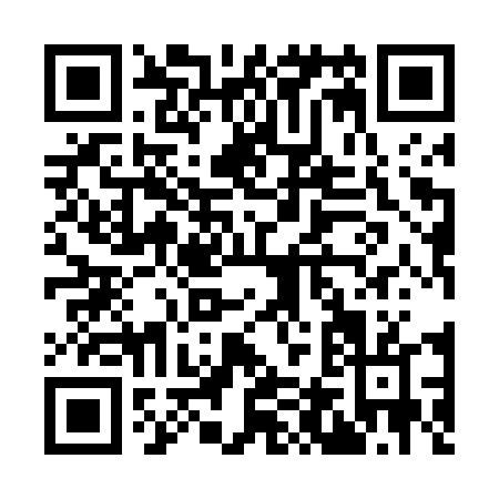 QR code for I494T