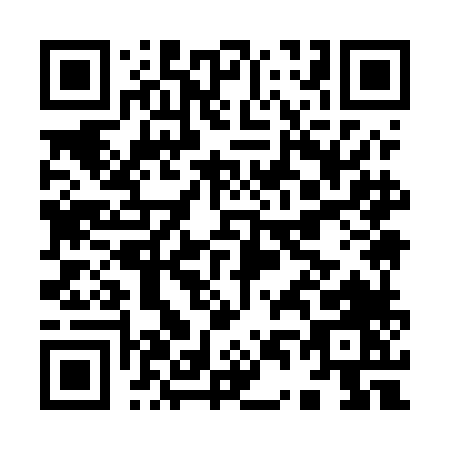 QR code for I495L