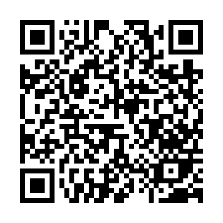 QR code for I496P