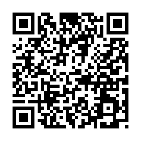 QR code for I509R