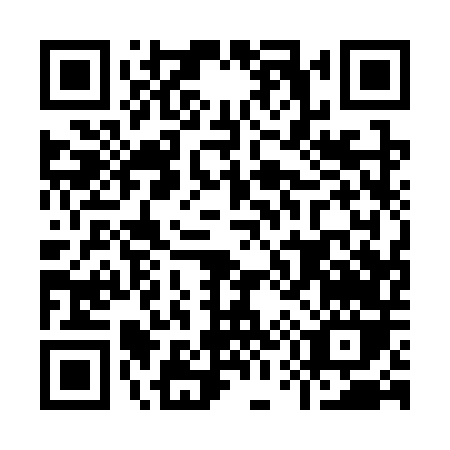 QR code for I513T