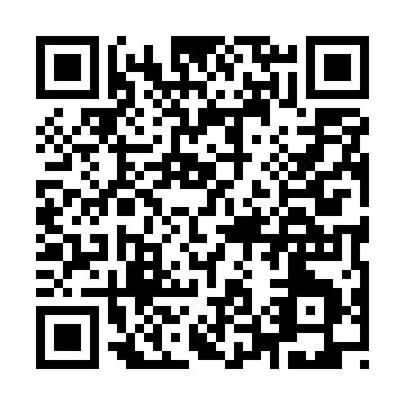 QR code for I595Q