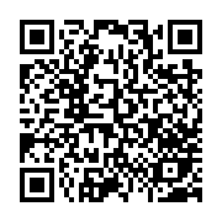 QR code for I667X