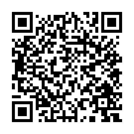 QR code for I806V