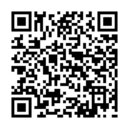 QR code for I919V