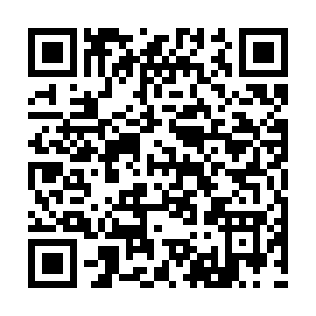 QR code for I953G