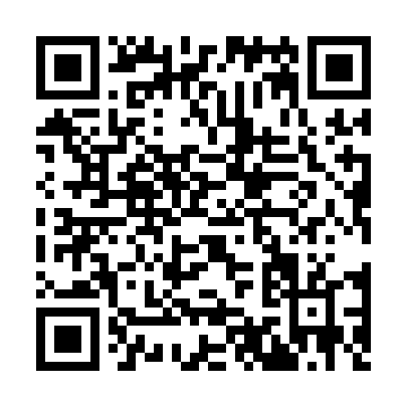 QR code for I991D