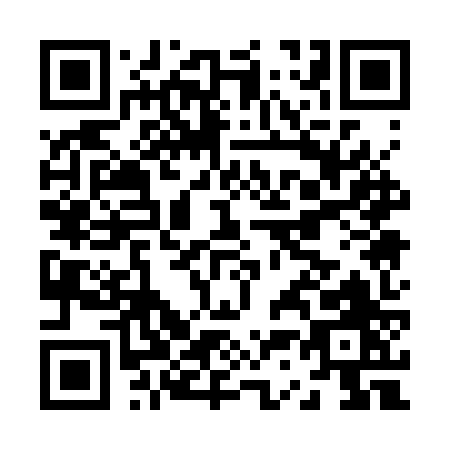 QR code for J313Z
