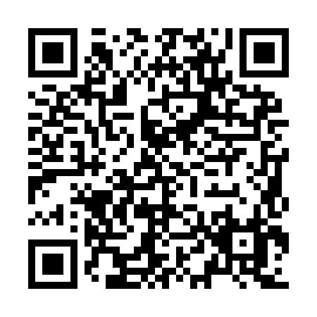 QR code for J419H