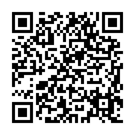 QR code for J919H