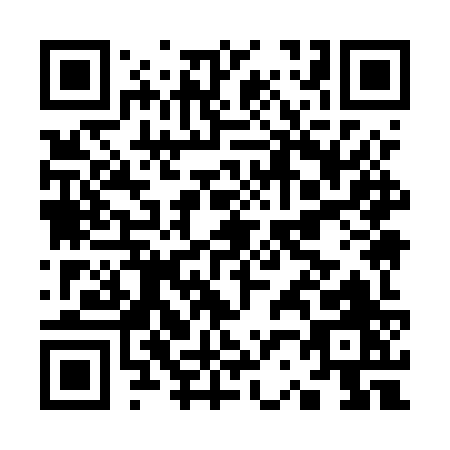 QR code for K295Z