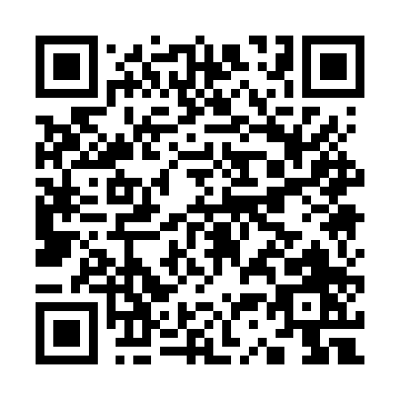 QR code for K316P